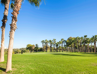 Campo amor golf